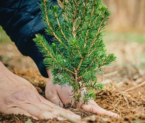 ��ü ����̹���