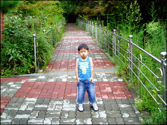 ��ü ����̹���