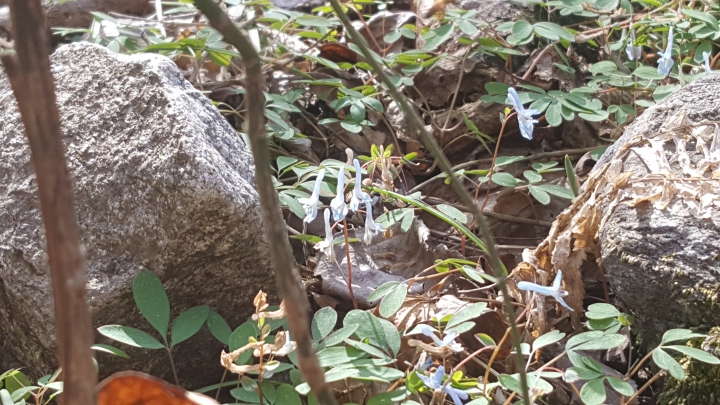 ��ü ����̹���